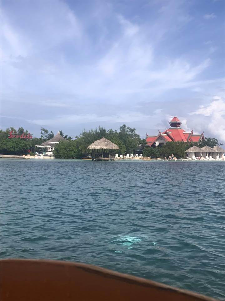 Jamaica Trip - BERTSCH-FRANK & ASSOCIATES, LLC